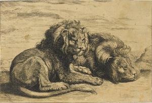 Zwei liegende Löwen (Variae Leonum Icones), nicht datiert